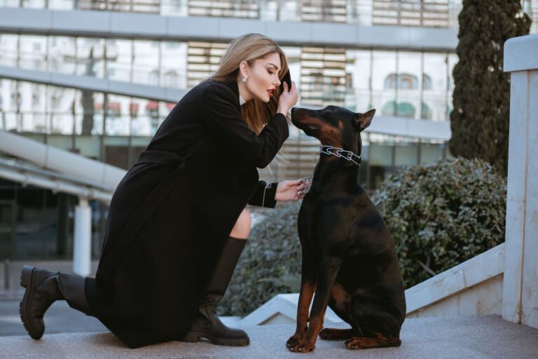 Collier luxe chien : élégance, sécurité et confort pour votre compagnon