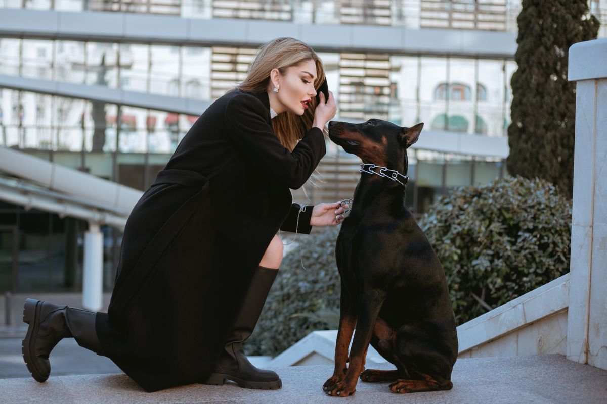 Collier luxe chien : élégance, sécurité et confort pour votre compagnon