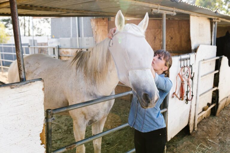 Masque anti-mouches cheval : lequel choisir ?