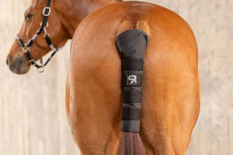 Protège queue transport cheval : l’accessoire indispensable pour la sécurité et le confort équin