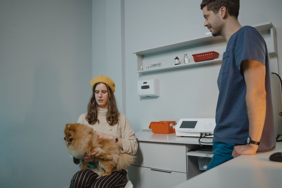 Chien qui tousse : quand consulter ?