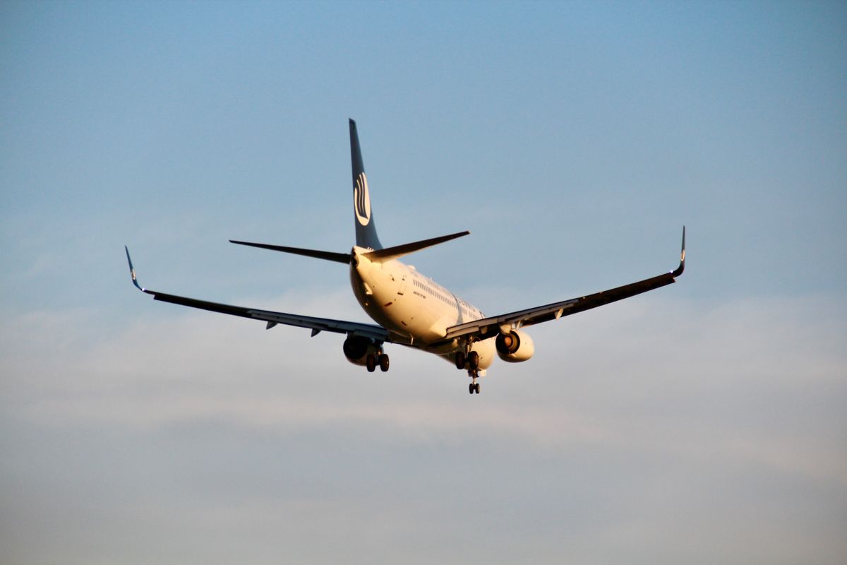Voyager en avion avec un chat : guide complet - 1. Voyager en avion avec un chat : est-ce possible ?