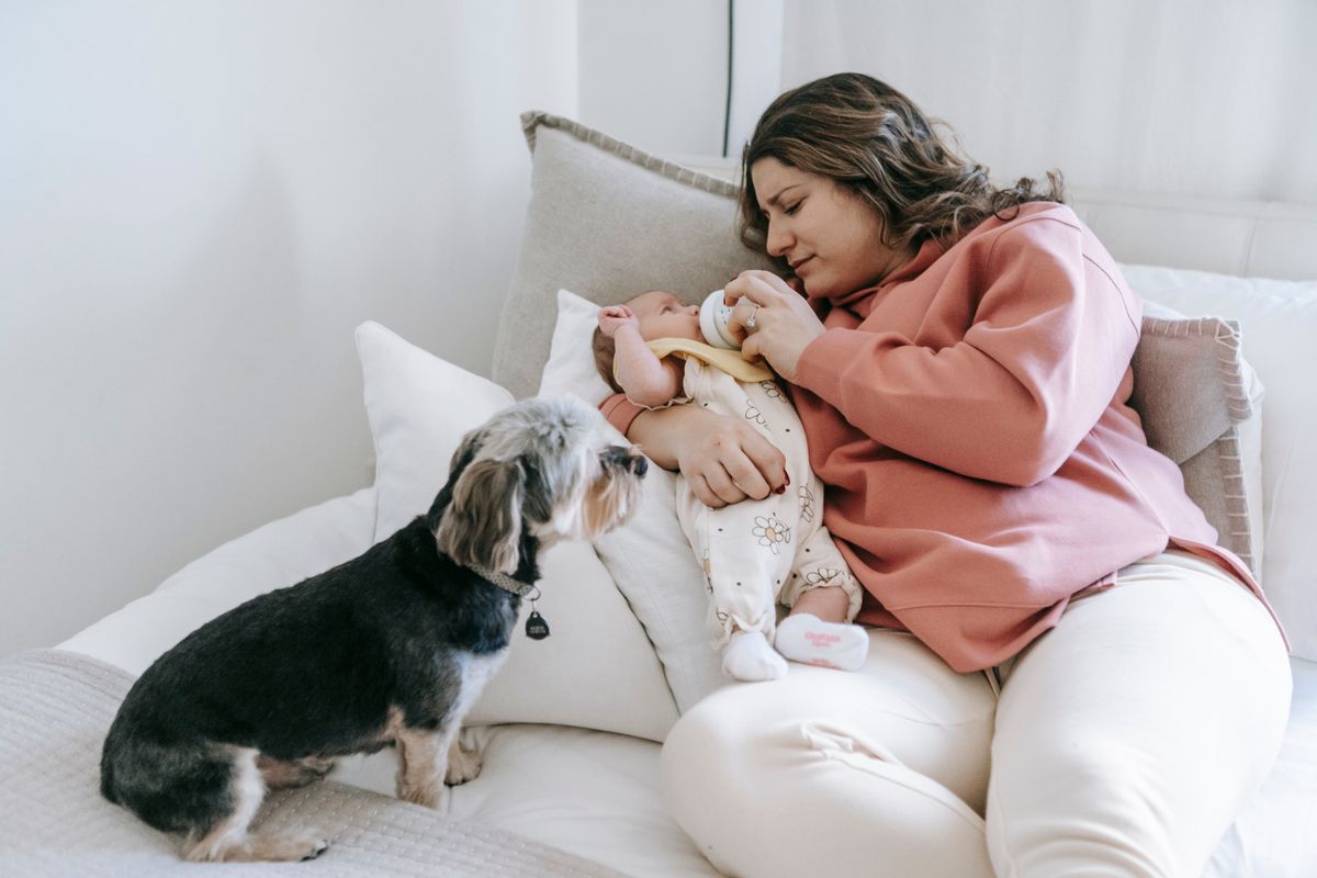 Chien et bébé : préparer l’arrivée en douceur